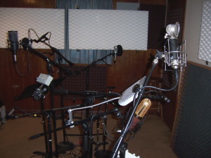 Tesco Productions microphones